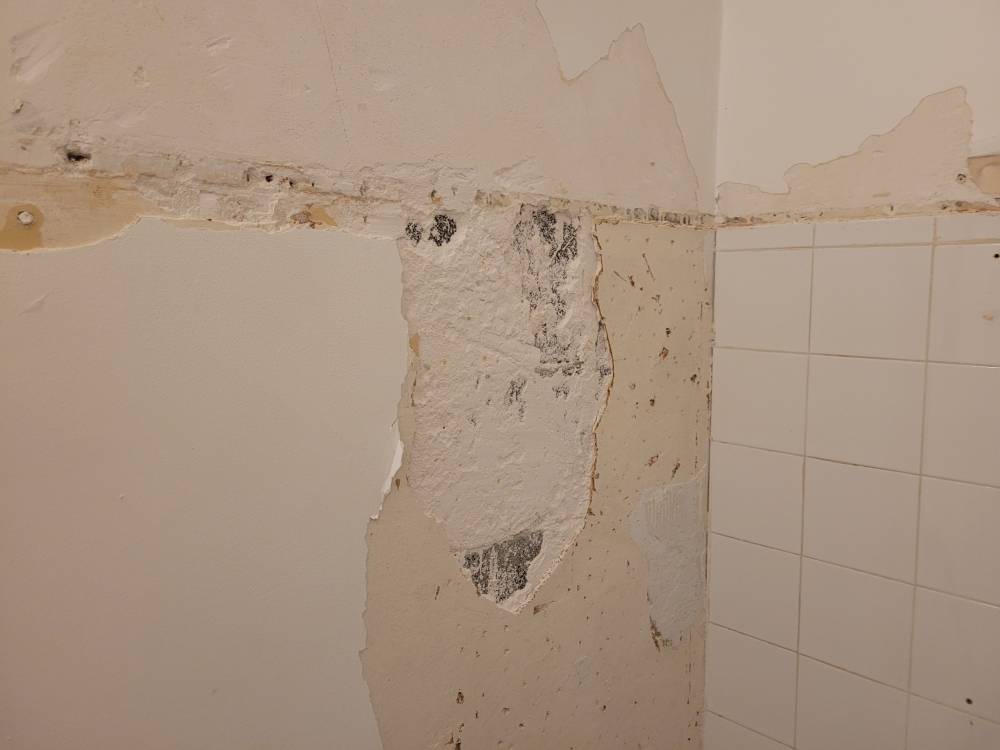 Appartement Rovis Juin 2024 (7)